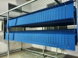 Wholesale 200x600mm Powder Coated Colorful Mild Steel Cable Tray Sizes for Optimal Organization from china suppliers