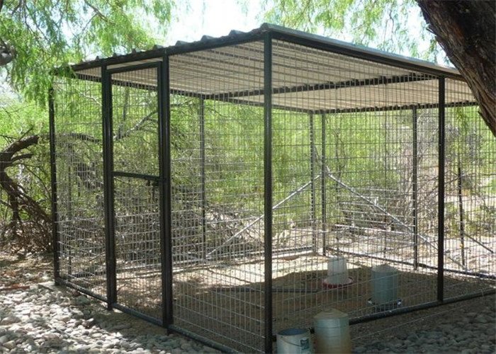 Customized Bird Aviary /Parrot Aviary Customized Own Size