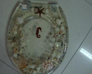 Wholesale color toilet seat,17'18'19'Uropean standard,USA stardard,seahorse design from china suppliers