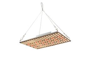 Wholesale ETL 100W Led Herb Grow Lights For Greenhouse from china suppliers