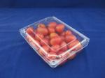 OEM/ODM Clamshell Package Plastic Packaging Boxes Food Grade