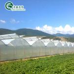 PE Vertical Hydroponic Nft Pipe Systems for Greenhouse Agriculture Water