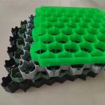 HDPE Permeable Grass Paver for Customized 500x500mm Black Green Industrial