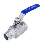 304 Stainless Steel 1/2 Inch FNPT Heavy Duty Full Port Ball Valve with Blue