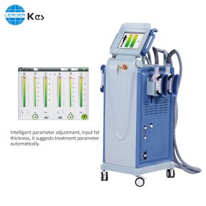 Wholesale Non-invasive 2 Handles Vacuum Cryolipolysis Body Quick Slimming Machine from china suppliers