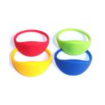 Em Marine 4100 RFID Wristband Tag Programmable RFID Bracelet 125khz