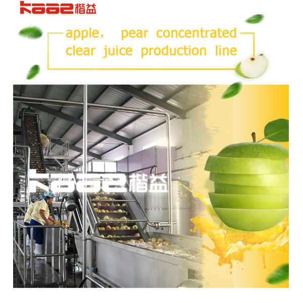 500kg-40T/H Apple Pear Concentrated Juice Production Line Food Grade Stainless Steel