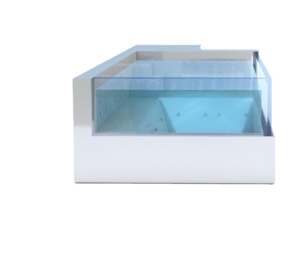Upgrade Your Aquatic Experience with a Rectangular Stainless Steel Shipping