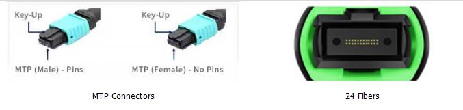 24 Fibers MTP To LC 24F MTP(Male) -LC Fan-Out 0.9mm 30-35cm Patch Cable