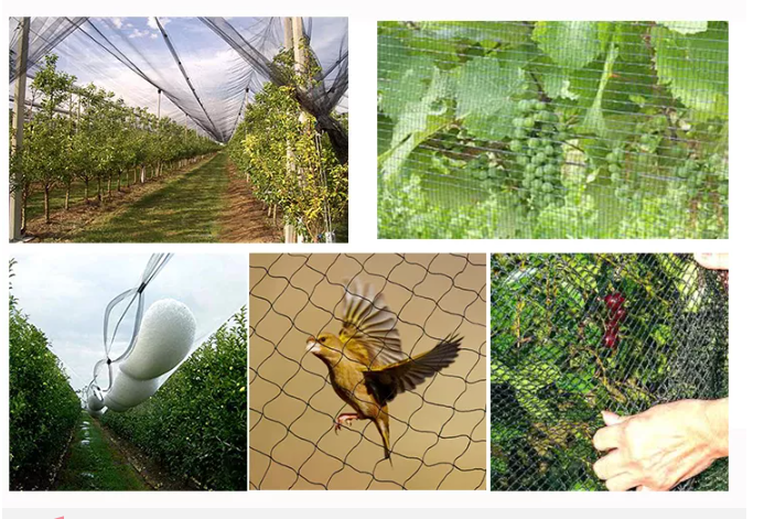 Pigeon Control Anti Bird Net Making Machine For Balcony Marine Oil Suction Net