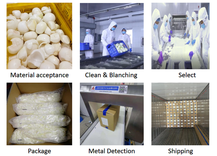 OEM/ODM High Quality and Factory Price IQF Wholesale Frozen Onion Slices IQF Onion Dices in Bulk for Wholesale and Retail