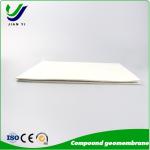 Corrosion Resistant Impervious Geotextile For Landfill And Mining