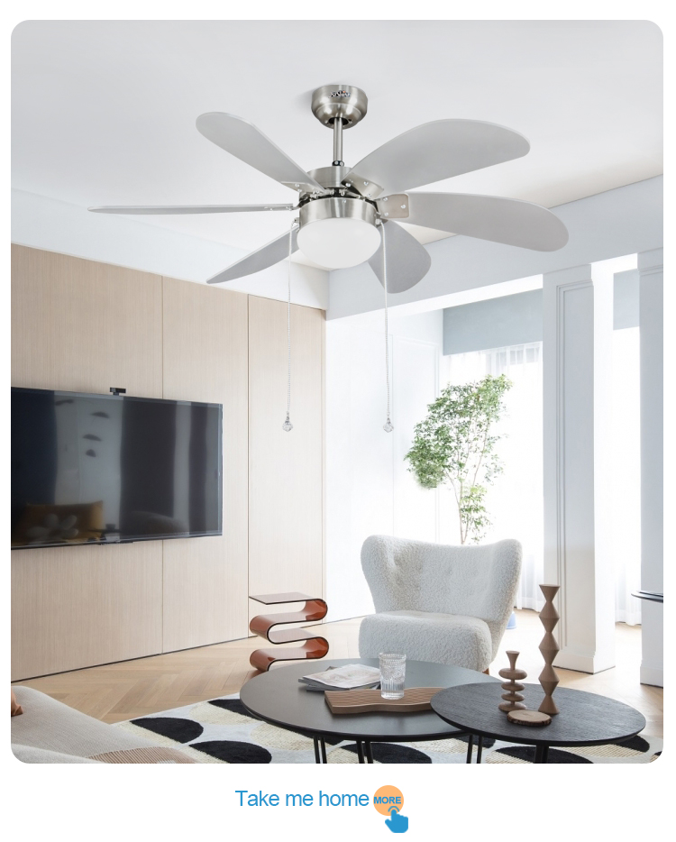 ceiling fan