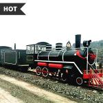 Large Family Tourist Train Rides 4.1×1.7×2.5 M Size Hand Painted Technics