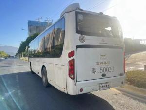 Wholesale White King Dragon Used Commercial Buses Diesel Fuel with 2 Doors from china suppliers