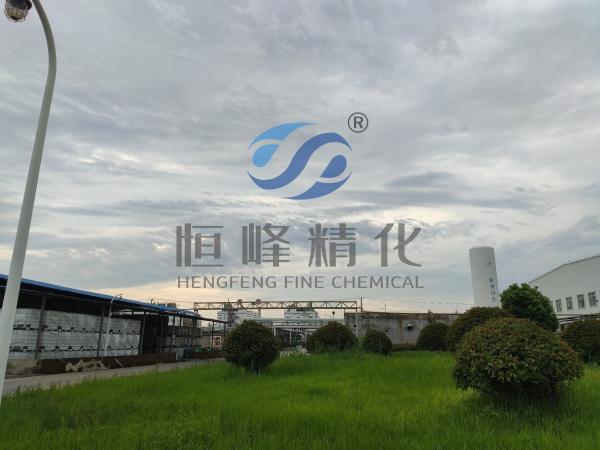 Hengfeng Sewage Treatment Chemical Anionic Polyacrylamide Commonly Used Apam