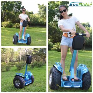 Wholesale CE 2 Wheel Self Balancing Electric Vehicle 250Kpa With Anti - Theft Lock from china suppliers