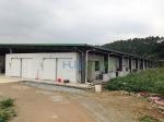 Vegetable/Meat/Fish/Shrimp/Fruit Cool Cold Storage Room with Outdoor Condenser