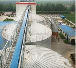 250 Ton 300 Ton Wheat Maize Flour Storage Galvanized Stainless Steel Grain Silo