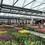 Shipping Cost Multi-System Glass Greenhouse for Flower Cultivation Estimated