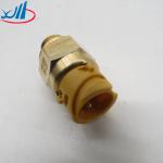 WG2209280024 Heavy Truck Parts Pressure Switch For Sinotruk Howo Truck Engine