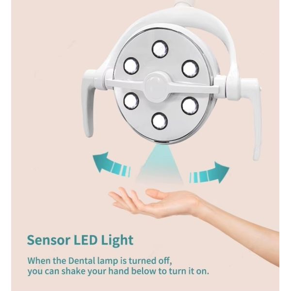 6 Bulb LED Dental Shadowless Light Oral Surgery and Examination Light for Dental Clinics Dental Chair Surgical Lamp