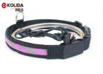 Comfortable Light Up Safety Night Glow Custom Dog Collars Adjustable