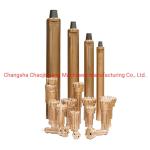 Alloy Steel Forged Eccentric Casing System Cec325-Cn100-280 Numa100 SD10 for