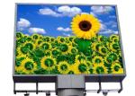 HD Nationstar Chip SMD2727 P5 Digital LED Advertising Screens 960 x 960mm