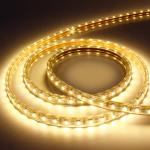 12V 24V 3528 Smd Dimmable LED Strip Light Landscape Lamps 120 LED / M 8mm PCB