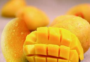 Wholesale Small Scale Fresh Juice Mango Processing Plant 2t/H from china suppliers