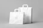 matt lamination Shopping Paper Bags Custom ISO For Advertising / Gift