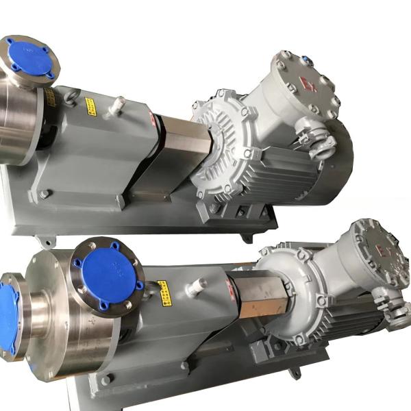 18m Cable Length 3T/H Passion Fruit Juice Transfer Pump for Industrial