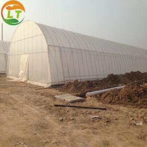 Wholesale Single-Span Agricultural Greenhouse for Cultivation of Vegetables Fruits and Flowers from china suppliers