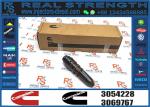 Fuel Injector 3054228