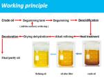 First-level Refining Stainless steel 1TPD scale edible oil refinery machine