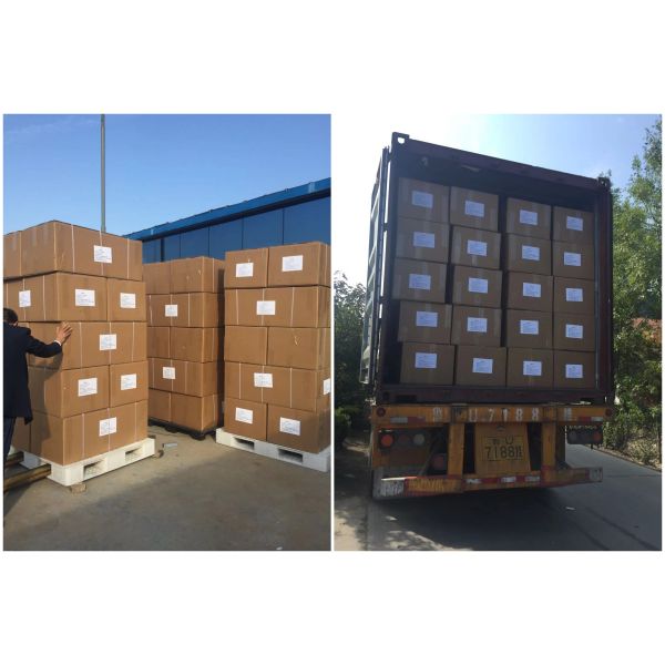 Container Liners With Reinforcement PE PP Liner BAG Fabric Dry Bulk Liner