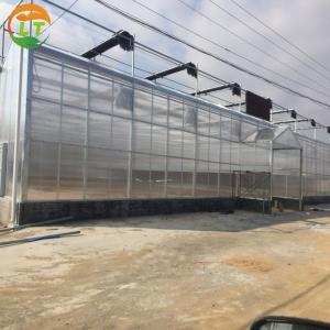 Wholesale Steel Frame Solar Agricultural Greenhouses for Adjustable Vegetable and Fruit Farming from china suppliers