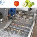 SUS304 Electric Vegetable Washer Vegetable Air Bubble Washing Machine Vegetables