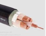 Sheathed 4mm Armored Cable Insulation , 6X Overall Diameter XLPE Armored Cable