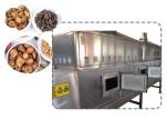 PLC System Microwave Tunnel Oven Equipment 120KW For Herbs / Spice Drying