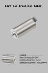 Faradyi Mini Brushless Bldc Coreless Motor Electric Motor Customized High Speed