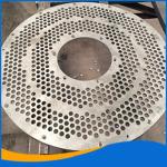 jinan FAST Factory Direct 304/316L Stainless Steel Flange Steel Customized