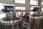 Commercial Mineral Water Purification Machine RO Purification System 6000LPH