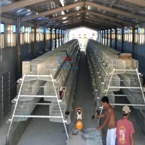 Wholesale Customized Steel Structure Poultry House Fire Resistant For Dairy Farm from china suppliers