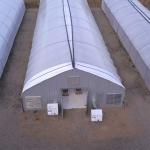 Agricultural Single Span Film Hydroponic Tunnel Auto Light Dep Solutions