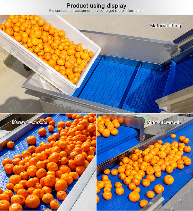 vegetable drying equipment Fruit and vegetable selection washing and drying production line Fruit Vegetable FOOD processing production Machine fruit