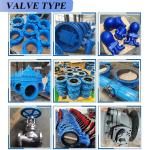 Gas Media Epoxy Coated Ductile Iron Double Flanged Butterfly Valve with