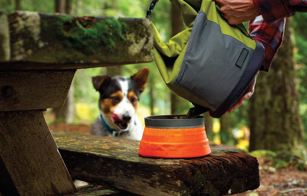 ODM Factory Wholesale Portable Kibble Dog Food Carrier with Food Chute