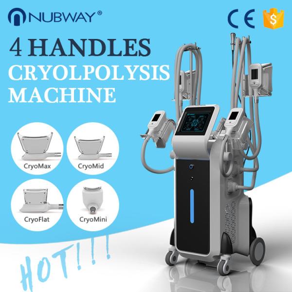 2018 trending products 4 handles weight loss beauty equipment cryolipolysis